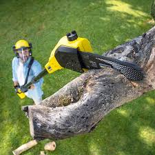 Best Commercial Tree Services  in Tipton, CA